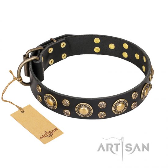 'Baroque Chic' FDT Artisan Studded Black Leather Dog Collar