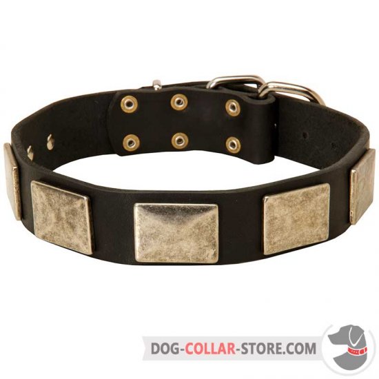 Handcrafted Leather Dog Collar With Vintage Massive Plates