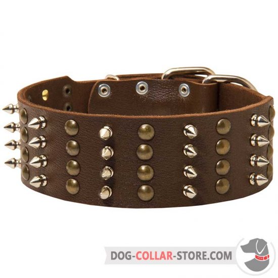 Gorgeous Design Leather Dog Collar with Nickel Plated Spikes and Brass Studs
