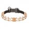 'Easy Taming' Dog Pinch Prong Collar of Curogan