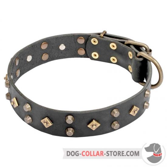 1 inch leather dog sales collar