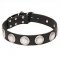 "Maya Indians" Leather Dog Collar with Chrome Plated Starry Circles