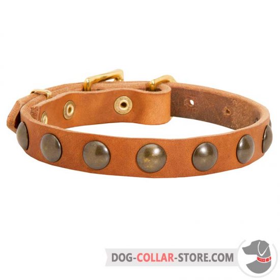 Vintage Leather Dog Collar for Everyday Walking