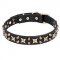 "Hollywood Star" 1 1/4 inch (30 mm) Leather Dog Collar with Brass Fineries