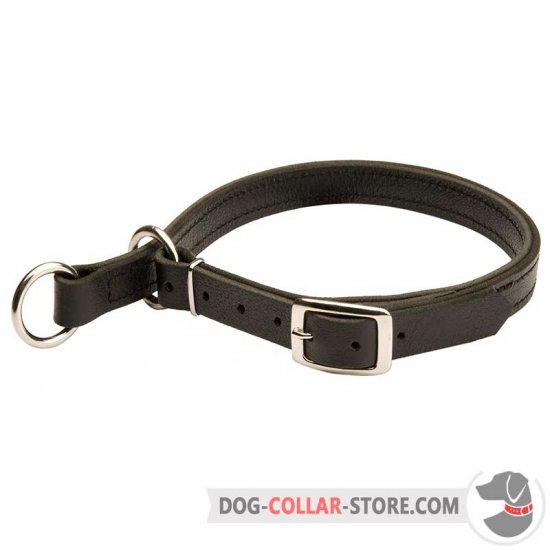 Leather Choke Dog Collar