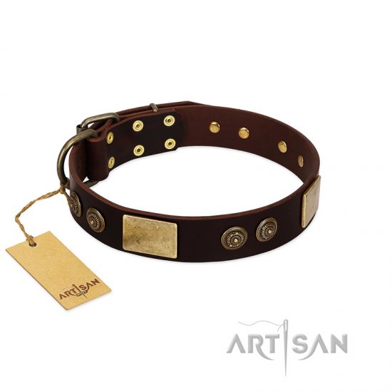 "Bow-Wow Effect" FDT Artisan Brown Leather dog Collar with Plates and Ornate Studs