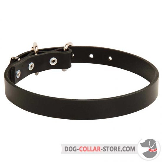 Classy Buckled Leather Dog Collar for Daily Use