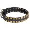 Premium Quality Wide Leather Dog Collar with Hand-Set Brass Studs