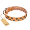"Precious Sparkle" Handmade FDT Artisan Tan Leather Dog Collar with Luxurious Studs