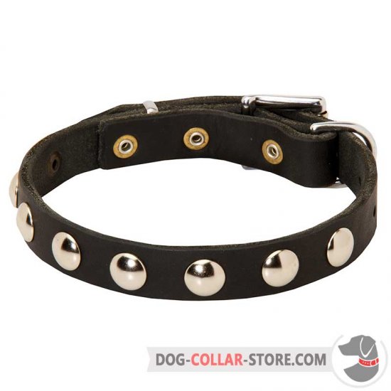 Elegant Leather Dog Collar With Half-Ball Nickel Studs