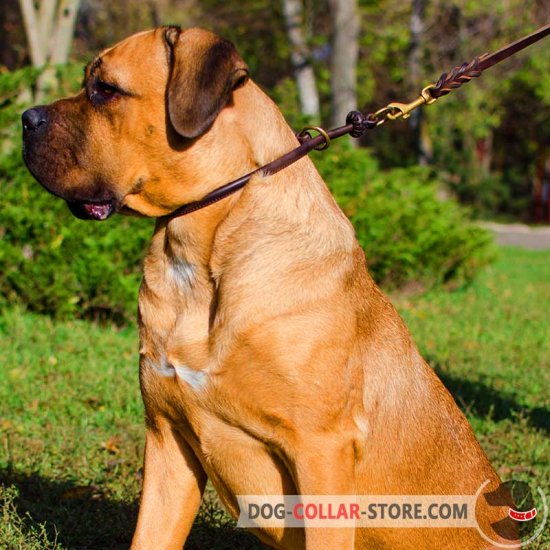 Rolled Silent Training Leather Cane Corso Choke Collar