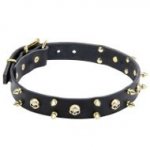 'Heavy Metal' Genuine Leather Dog Collar with Skulls and Spikes