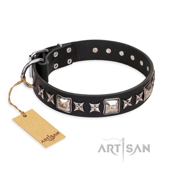 'Space Walk' FDT Artisan Black Leather Dog Collar with Awesome Adornments - Click Image to Close