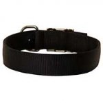 Wide Nylon Dog Collar For Everyday Walking and Training