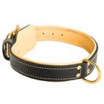 Royal Nappa Padded Hand Made Leather Dog Collar