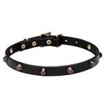 'Age of Style' Leather Dog Walking Collar