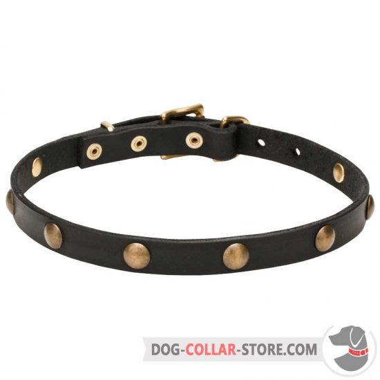 'Elegant Beauty' Leather Dog Collar with Brass Half-Ball Studs