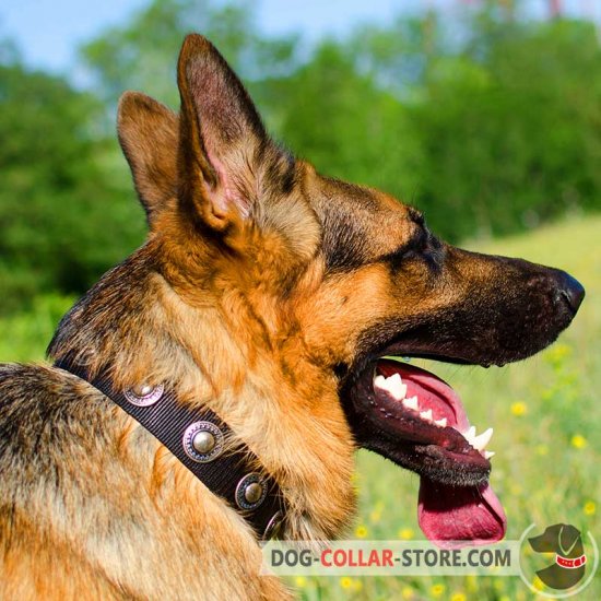 Walking Nylon German Shepherd Collar with Silver Conchos