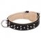 Nappa Padded Leather Dog Collar with Nickel Plated Spikes