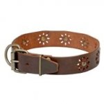 'Spring Mood' Leather Collar for Trendy Dogs