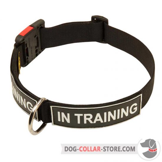 Nylon Dog Collar with Identification Patches