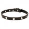 'Shiny Necklace' Leather Dog Collar Trendy Design