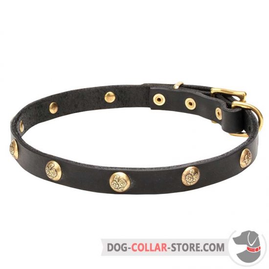 'Stamped Studs' 3/4 Inch Wide Leather Dog Collar