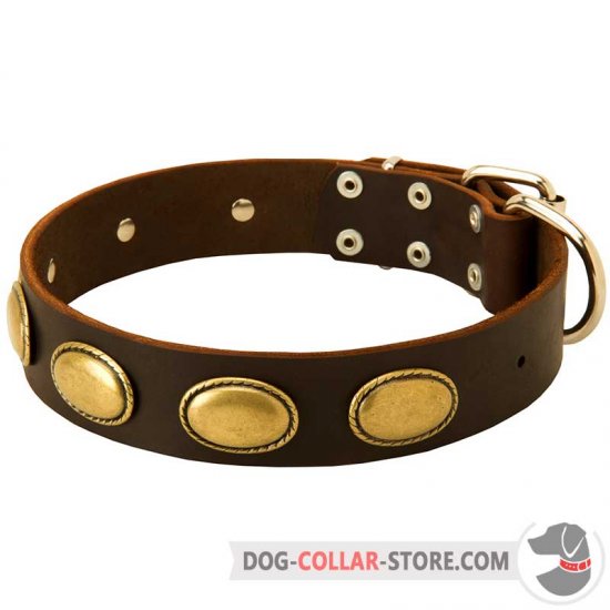 Leather Dog Collar Decorated With Vintage Oval Plates