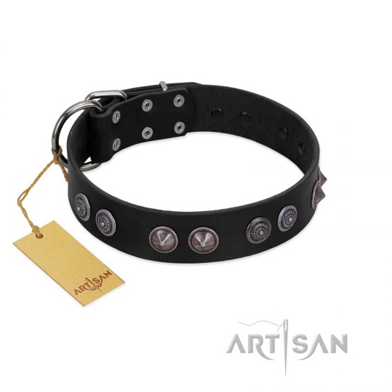 Mod dog collars sale