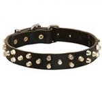 Studded Leather Dog Collar For Everyday Walking and Training