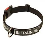 Nylon Dog Collar with Identification Patches