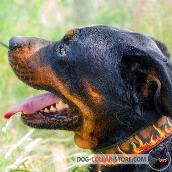 Designer Leather Rottweiler Collar with Hand Painted Flames