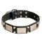 Decorative Leather Dog Collar with Nickel Plates