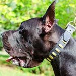Original Leather Great Dane Collar with Brass Plates