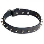 30 mm Leather Dog Collar with 1 Row of Nickel Plated Spikes