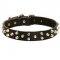Studded Leather Dog Collar For Everyday Walking and Training