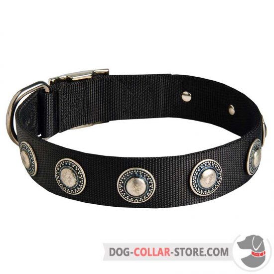 Nylon Dog Collar with Silver Color Conchos for Walking