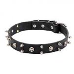 'Jolly Roger' Genuine Leather Dog Collar with Skulls and Spikes