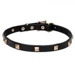 'Modern Style' Leather Dog Walking Collar with Pyramids