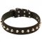 'Daily Elegance' Leather Dog Collar with Studs