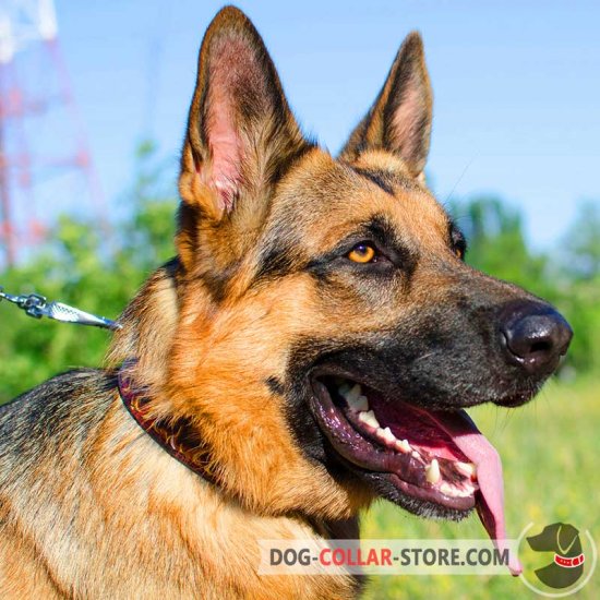 Extremely Stylish Leather German Shepherd Collar with Hand Painted Flames - Click Image to Close