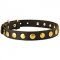 Leather Dog Collar Decorated With Brass Circle Studs
