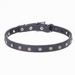 'Stellar' Dog Leather Collar with Star-Shaped Studs