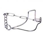 'Winner's Pride' Stainless Steel Show Dog Collar