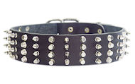 Durable Wide Decorated Leather Dog Collar for Walking Durable Wide Decorated Leather Dog Collar for Walking