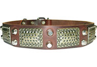Fashion Leather Dog Collar with Studs and Vintage Plates