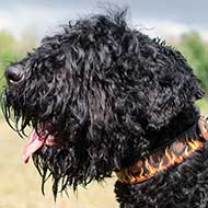 Stylish Leather Black Russian Terrier Collar with Hand Painted Flames Stylish Leather Black Russian Terrier Collar with Hand Painted Flames