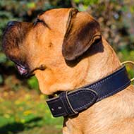Heavy Duty Training Extra Wide Leather Cane Corso Collar