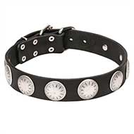 "Maya Indians" Leather Dog Collar with Chrome Plated Starry Circles