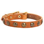 Vintage Leather Dog Collar for Everyday Walking